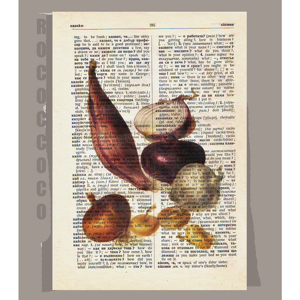 Antique French VEGETABLES/ Red ONION - Artwork on a page from vintage Dictionary -Upcycled Book Print