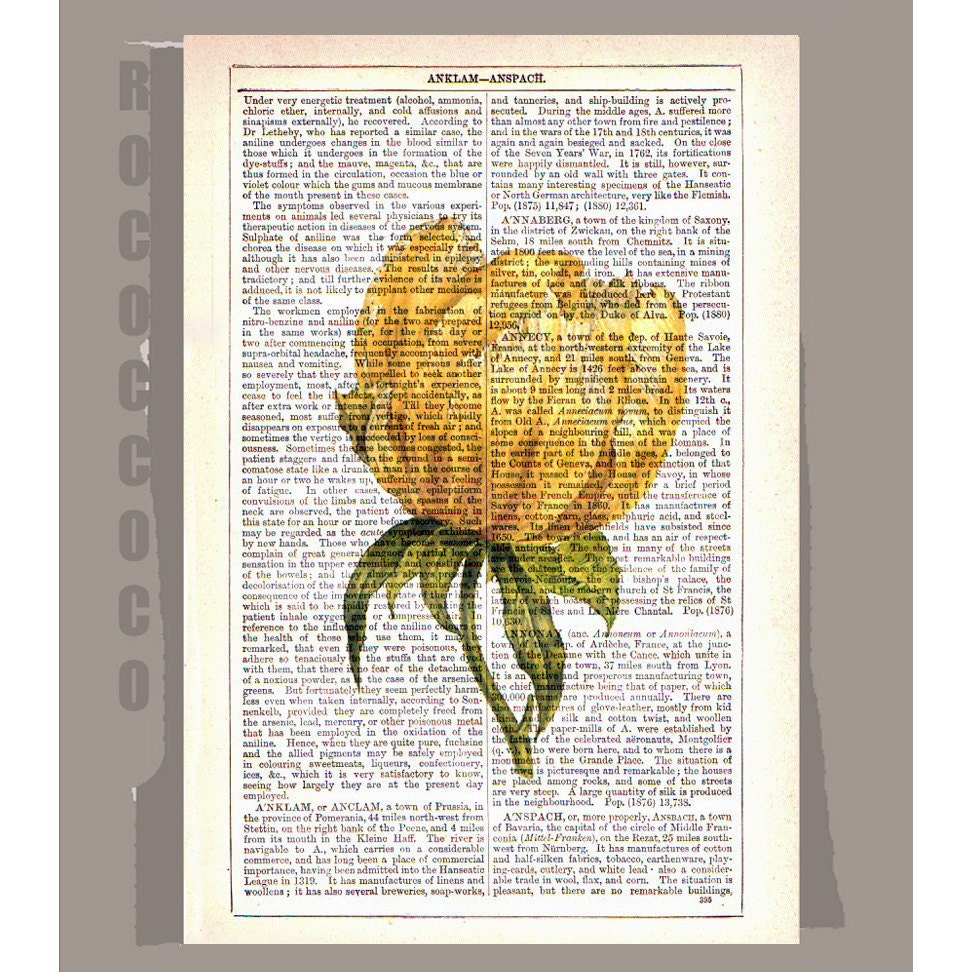 Yellow TULIP Artwork on a page from vintage Dictionary -Upcycled Book Print