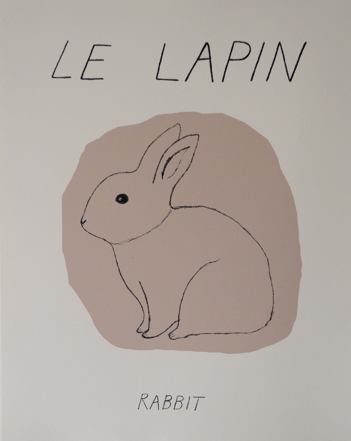 le lapin