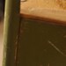 Reserved for kplant01- Vintage Child School Desk- American Seating Co.  15"