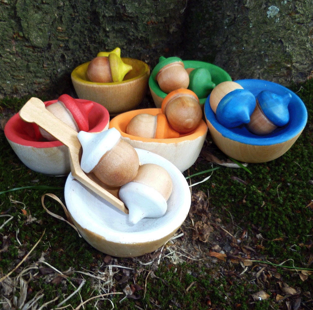 Wooden Acorn Sorting Game