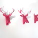set of 3 faux deer head, faux taxidermy , greeting card,pink