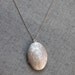 Vintage style Dandelions flower oval Locket - S2014