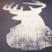Navy Deer Print, 16" x 20" - FREE SHIPPING