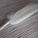 White Feather I Love You feather dove romantic sea green shabby chic wedding favors diy wedding decor wedding gifts mint green