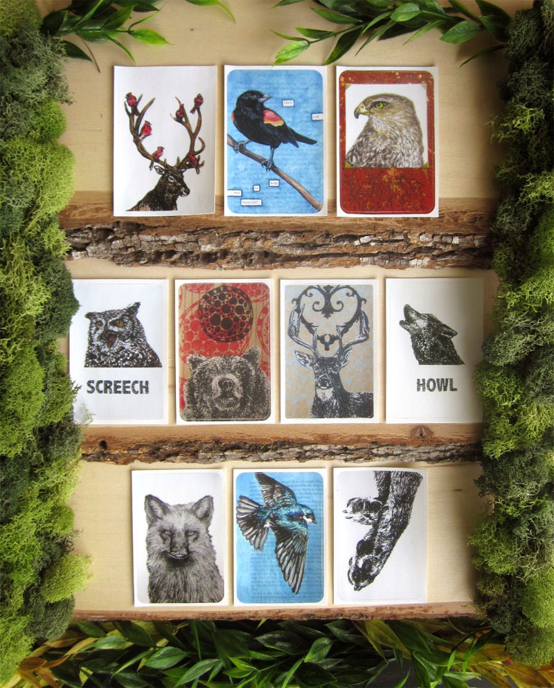 Illustrated Wildlife Animal Stickers - Pack of 10 - Original Art