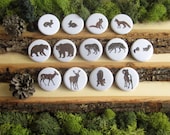 Woodland Animal Magnets - 1.5" - Natural Duality - Set of 14