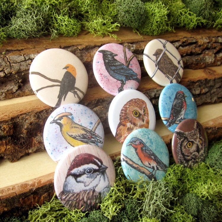 Beautiful Birds - Set of 9 Pinback Button Badges - 1.5"