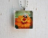 Glass Photo Pendant Necklace Bumble Bee on Orange Zinnia Flower