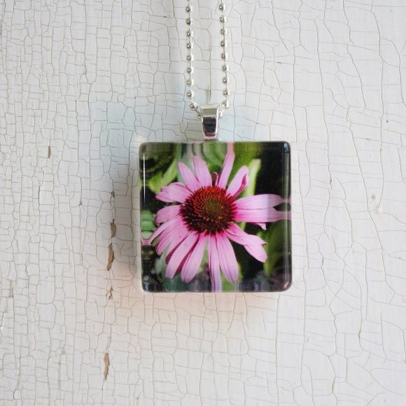 Glass Photo Pendant Necklace Purple Coneflower