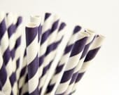 25 eggplant purple striped Paper Straws, AND Digital DIY straw tags (your color choice) Party Striped Straws biodegradable