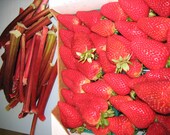 Strawberry Rhubarb Jam 8oz State Fair Best In Show Winner