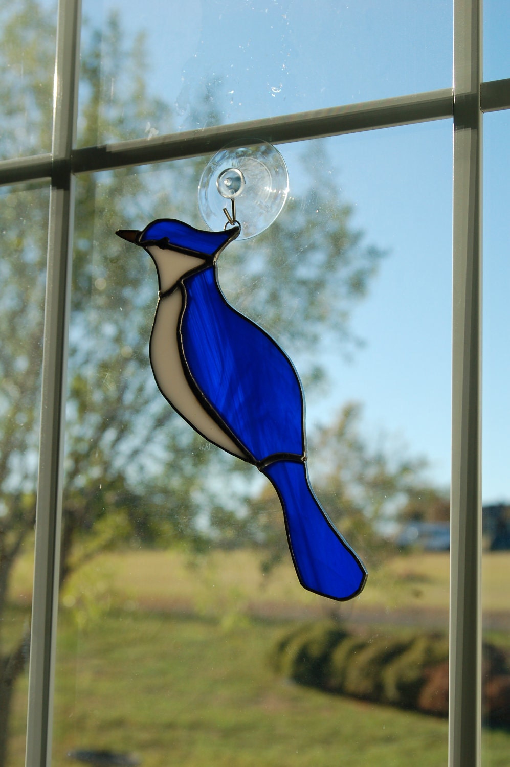 Stained Glass Blue Jay
