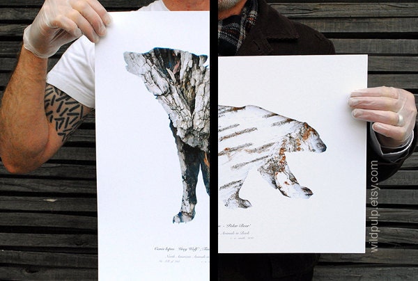 Two 13x19 Archival Prints : Wall Art Photography, Woodland Animal Silhouette - Lodge, Home & Nursery Decor - Your Choice