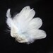 White feather hair clip bead and pearl bridal fascinator feather hair clip