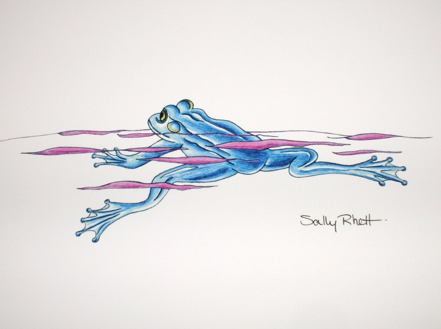 2 Swim Frog Blank Notecards by Sallymanders Sally Rhett
