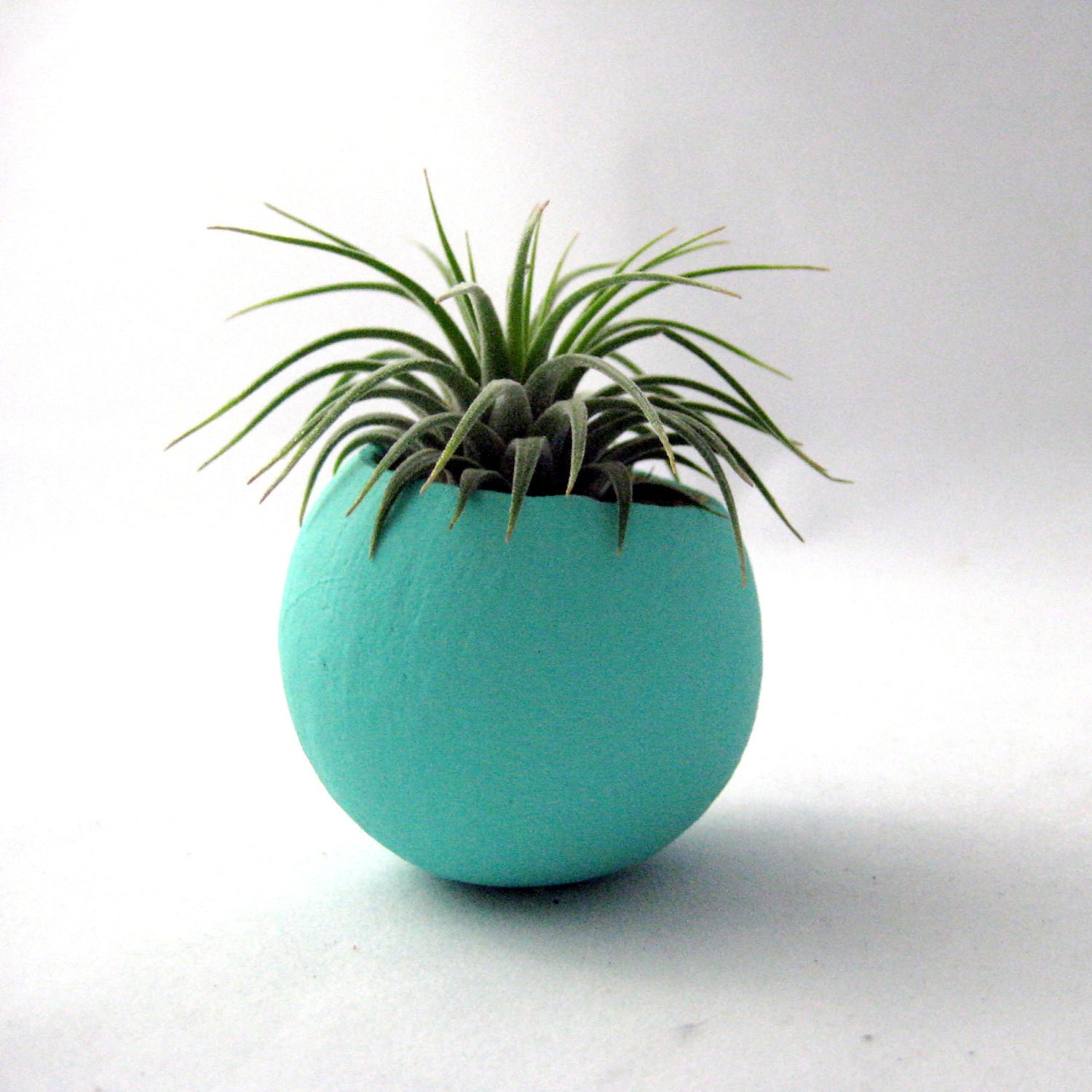 Mini Air Plant Container Pod - Blue Vessel // Home and Living // Indoor Garden // Planter