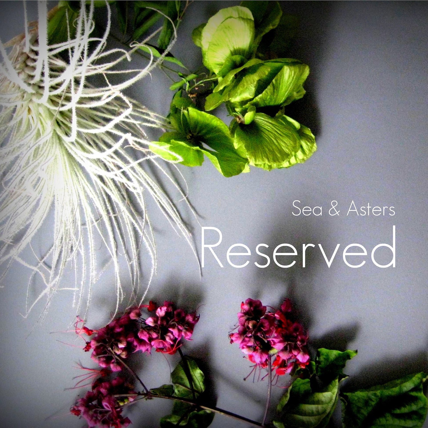 Reserved for Sarah C.