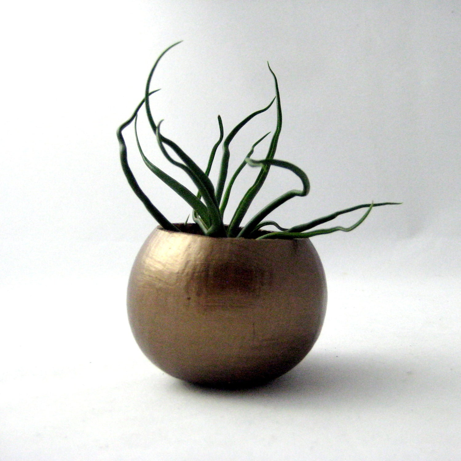 Mini Bulbosa Air Plant Container Pod - Copper // Planter // Home and Garden // Office Plant