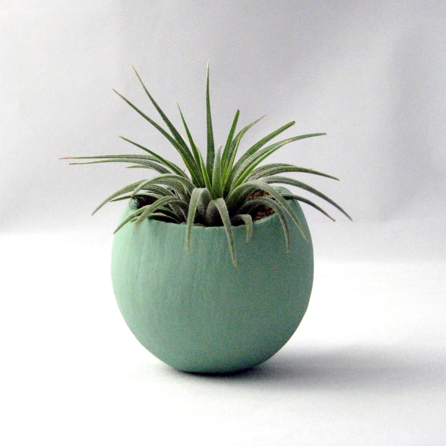 Mini Air Plant Container Pod - Sage // Planter // Living Home Decor // Home and Garden