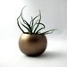 Mini Bulbosa Air Plant Container Pod - Copper // Planter // Home and Garden // Office Plant