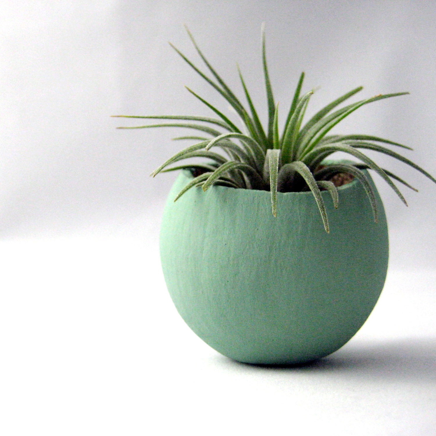 Mini Air Plant Container Pod - Sage // Planter // Living Home Decor // Home and Garden
