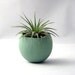 Mini Air Plant Container Pod - Sage // Planter // Living Home Decor // Home and Garden