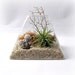 Peach Pyrite Pyramid Terrarium // Air Plant Terrarium