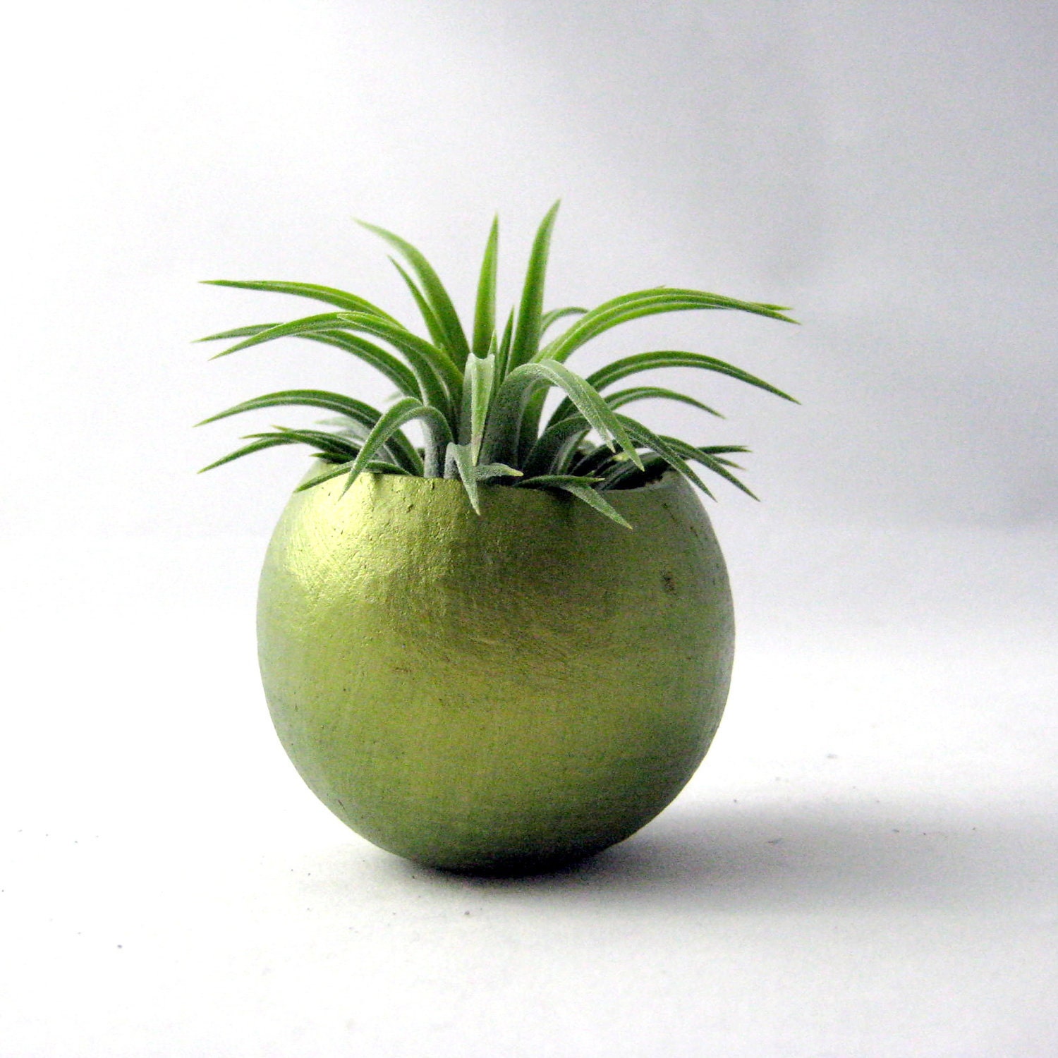Mini Air Plant Container Pod - Metallic Green Plant Vessel // Planter // Home and Garden