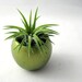 Mini Air Plant Container Pod - Metallic Green Plant Vessel // Planter // Home and Garden