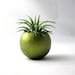 Mini Air Plant Container Pod - Metallic Green Plant Vessel // Planter // Home and Garden