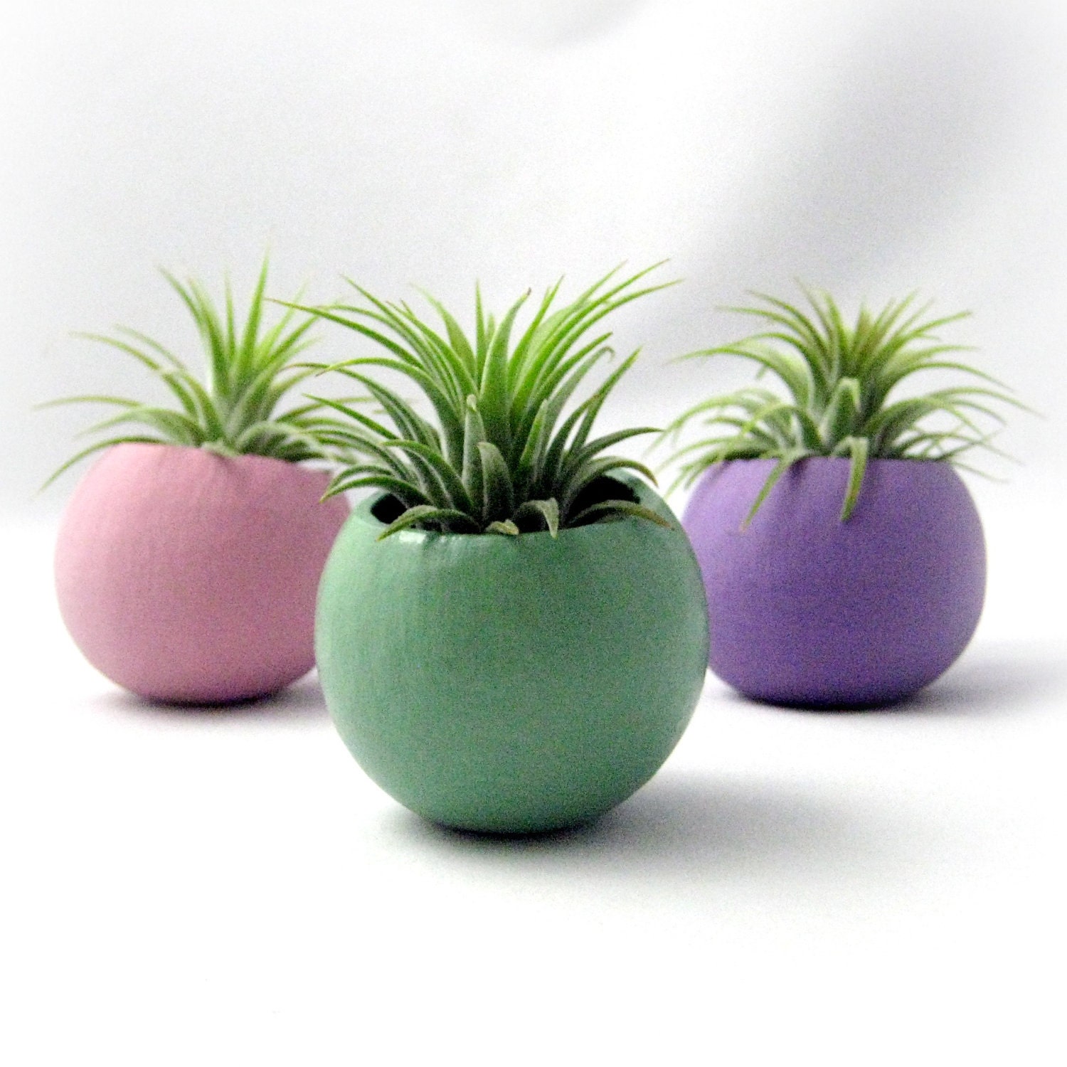 Mini Air Plant Pods - Pastel