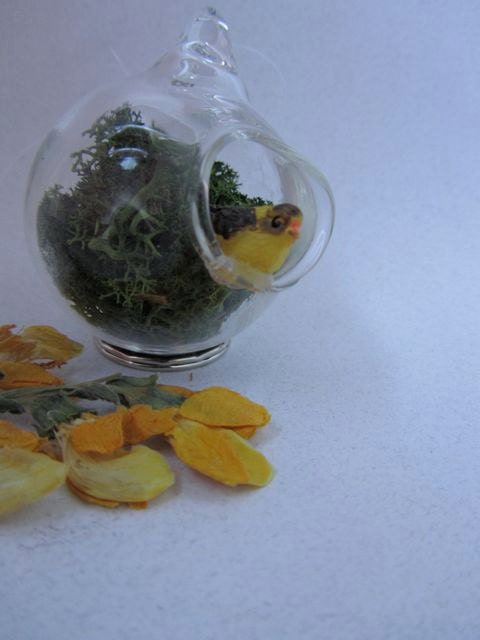 Hanging Terrarium with Tiny Yellow Bird