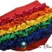 Rainbow Ruffle Diaper Cover Sassy Fancy Pants Panty