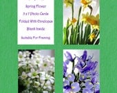 SPRING CARDS FLOWERS Photo Cards, Set of Three 5 x 7 Spring Flower Photos, Folded Cards, Blank Inside, With Envelopes