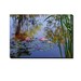 Photograph WATER LILIES, Coastal Maine Botanical Gardens, Boothbay Harbor, Maine,  Canvas Wrap Glicee PrInt, 36 x 24, Maine Water Garden