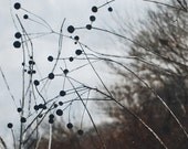 Winter Walk, Lyric solar plate etching on handmade paper