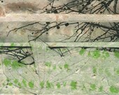 Spring Dreaming, print on handmade paper