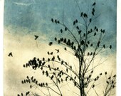 Februray Visit, Doves Dip, print series