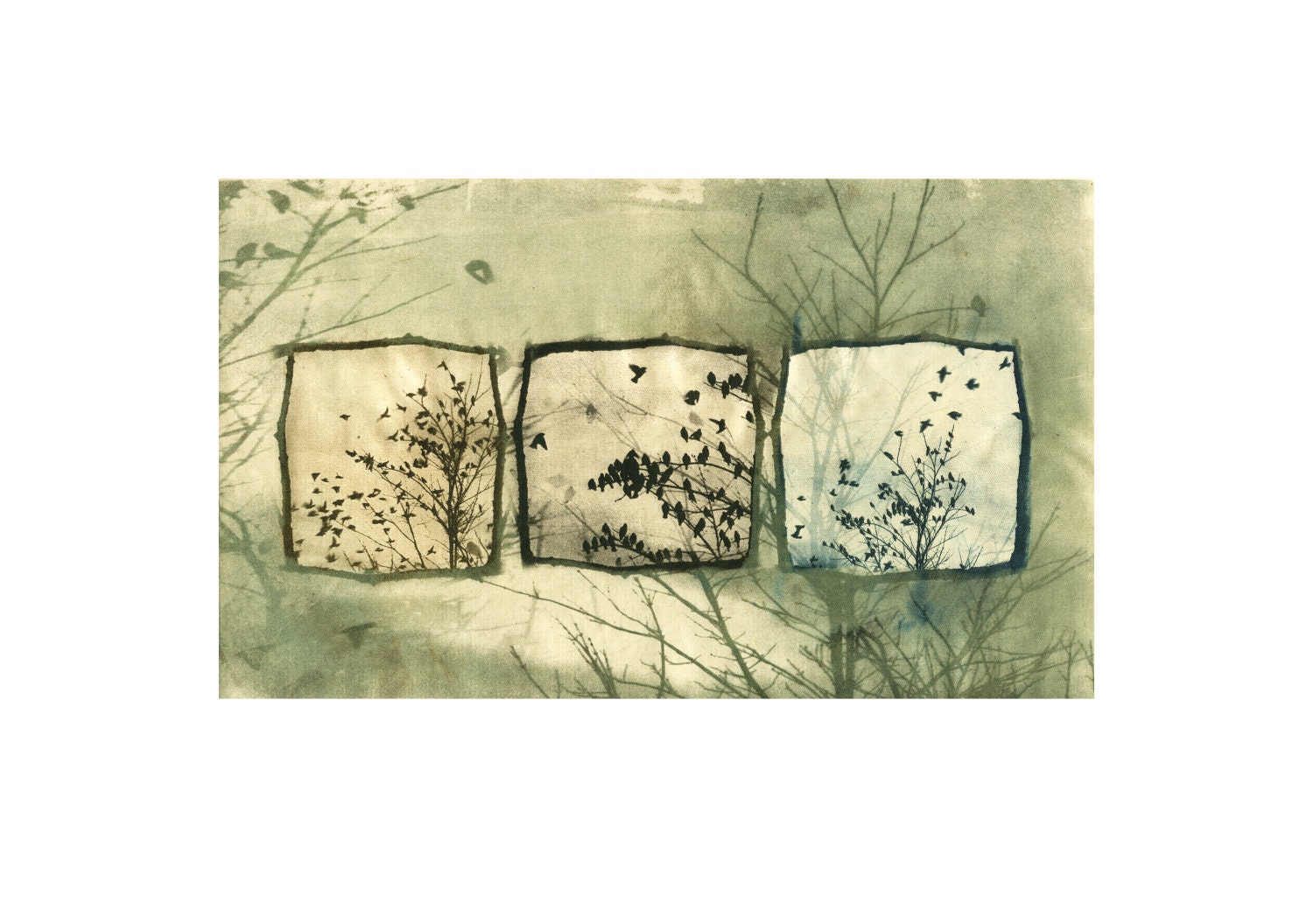 Doves off of my Balcony, solar-plate etching