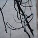 Branch Silhouette, etching on handmade paper