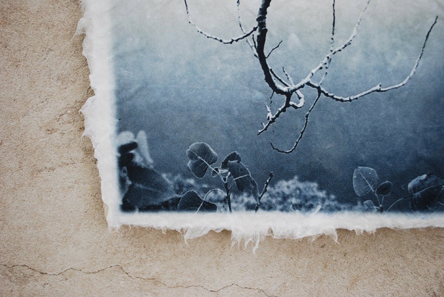 Branch Silhouette, etching on handmade paper