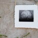 etching, Moonrise, Charmed Meadow solarplate etching on handmade paper