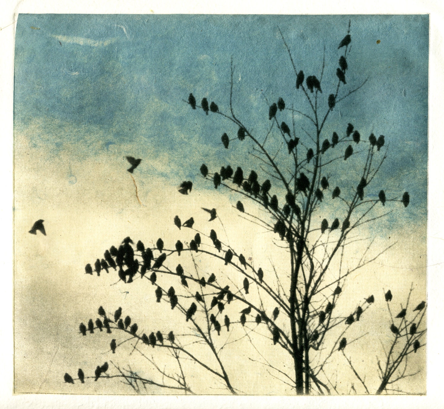 Februray Visit, Doves Dip, print series