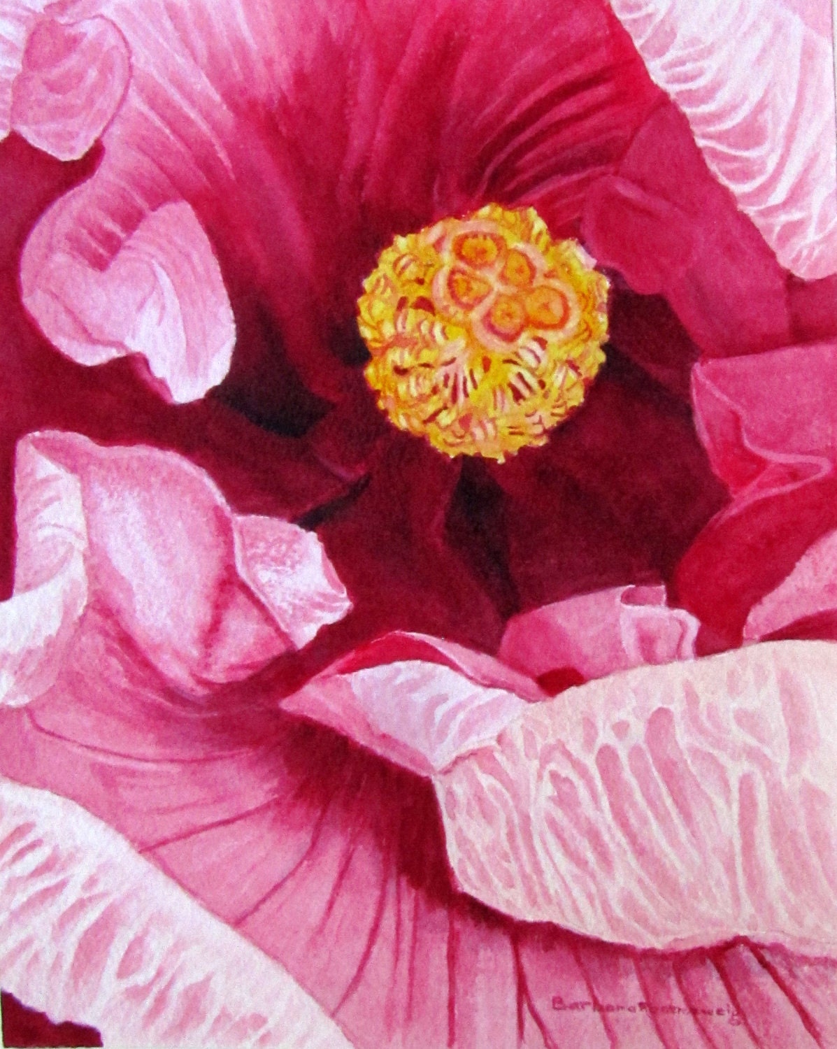 Pink Hibiscus, Barbara Rosenzweig, Fine Art Print, Etsy, Fuscia Floral Reproduction of Original Watercolor Painting