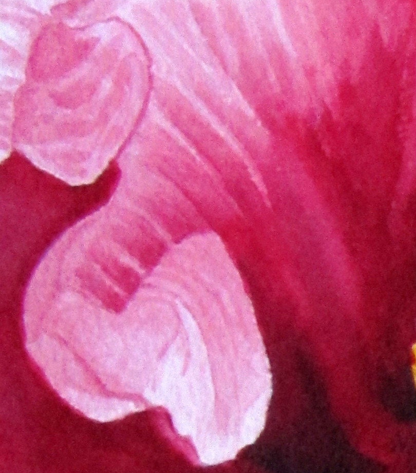 Pink Hibiscus, Barbara Rosenzweig, Fine Art Print, Etsy, Fuscia Floral Reproduction of Original Watercolor Painting