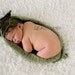 Newborn Little Pea Pod Photography Prop