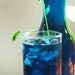 BuTtErfLy PeA, heirloom seeds from our organic garden
