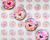 Butterflies Roses Digital Collage Round Circle JPEG Images (12-98)