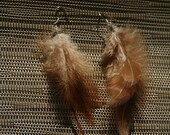 Brown Feather Earrings